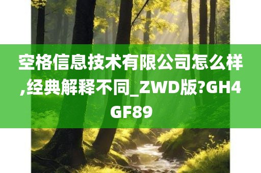 空格信息技术有限公司怎么样,经典解释不同_ZWD版?GH4GF89