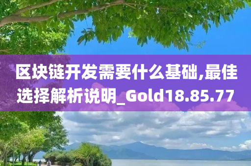 区块链开发需要什么基础,最佳选择解析说明_Gold18.85.77