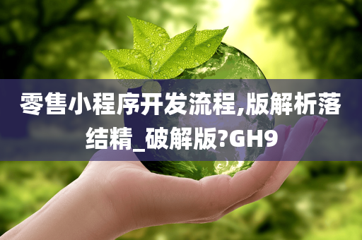 零售小程序开发流程,版解析落结精_破解版?GH9