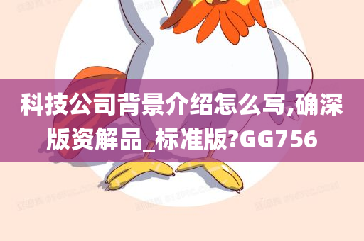 科技公司背景介绍怎么写,确深版资解品_标准版?GG756