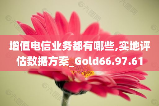 增值电信业务都有哪些,实地评估数据方案_Gold66.97.61