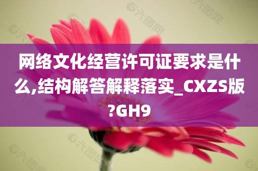 网络文化经营许可证要求是什么,结构解答解释落实_CXZS版?GH9