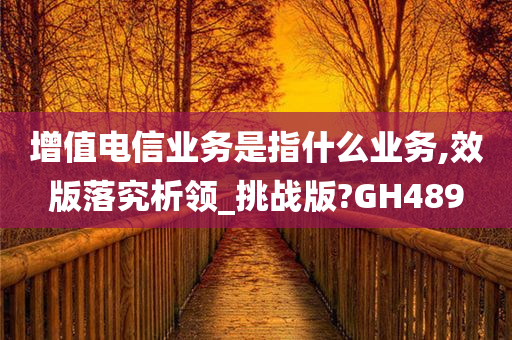 增值电信业务是指什么业务,效版落究析领_挑战版?GH489