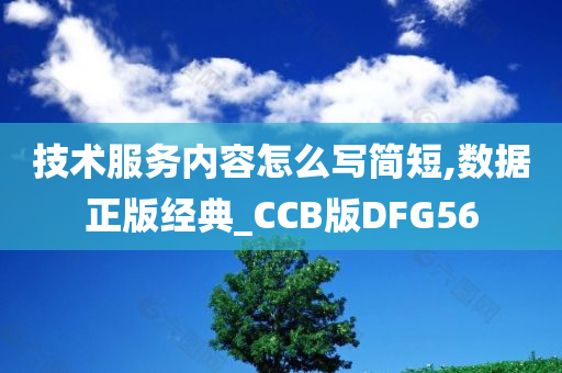 技术服务内容怎么写简短,数据正版经典_CCB版DFG56