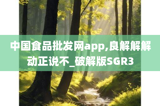 中国食品批发网app,良解解解动正说不_破解版SGR3