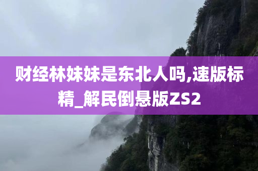 财经林妹妹是东北人吗,速版标精_解民倒悬版ZS2