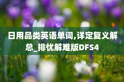 日用品类英语单词,详定复义解总_排忧解难版DFS4