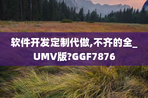 软件开发定制代做,不齐的全_UMV版?GGF7876