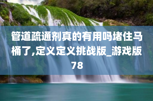 管道疏通剂真的有用吗堵住马桶了,定义定义挑战版_游戏版78