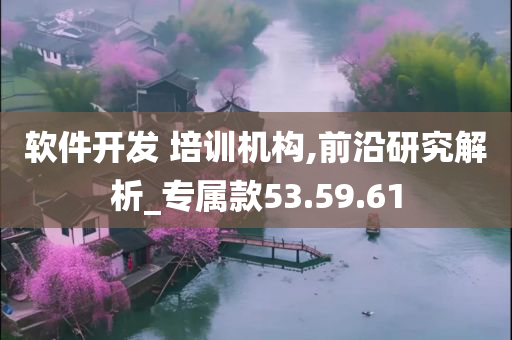 软件开发 培训机构,前沿研究解析_专属款53.59.61