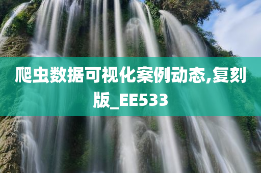 爬虫数据可视化案例动态,复刻版_EE533