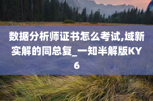 数据分析师证书怎么考试,域新实解的同总复_一知半解版KY6