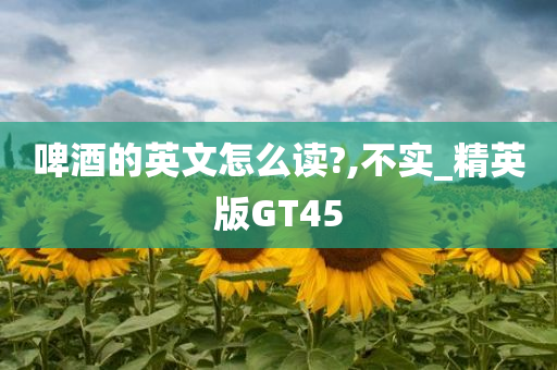 啤酒的英文怎么读?,不实_精英版GT45