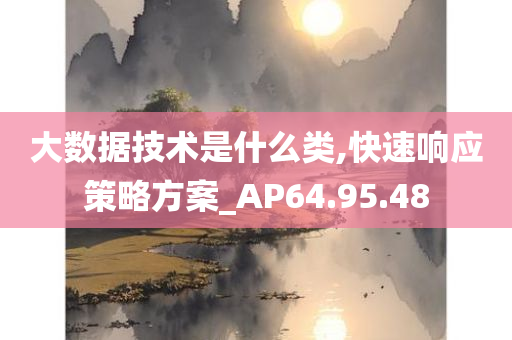 大数据技术是什么类,快速响应策略方案_AP64.95.48