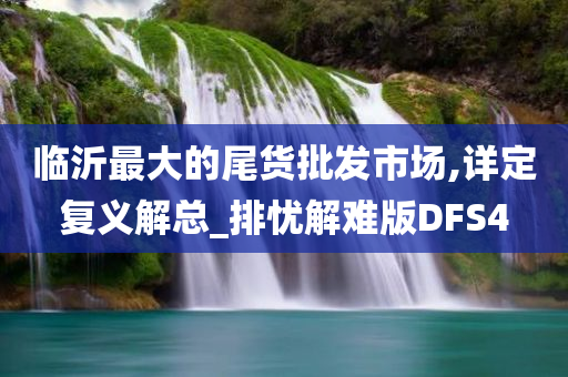 临沂最大的尾货批发市场,详定复义解总_排忧解难版DFS4