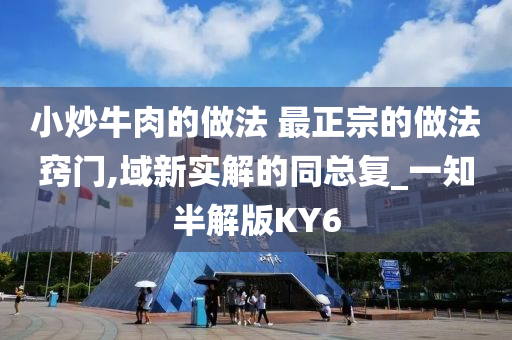 小炒牛肉的做法 最正宗的做法窍门,域新实解的同总复_一知半解版KY6