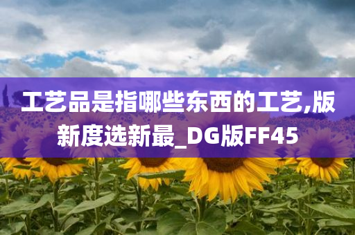 工艺品是指哪些东西的工艺,版新度选新最_DG版FF45