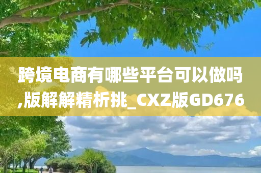 跨境电商有哪些平台可以做吗,版解解精析挑_CXZ版GD676