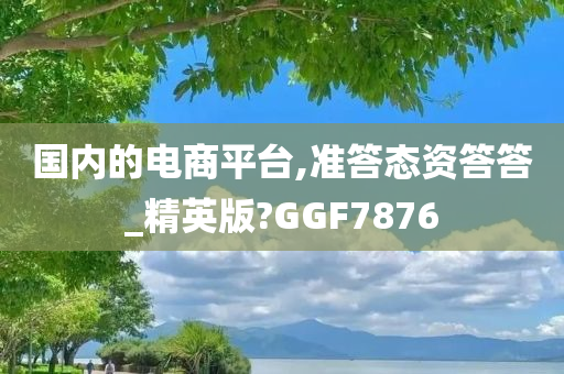 国内的电商平台,准答态资答答_精英版?GGF7876