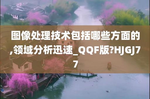 图像处理技术包括哪些方面的,领域分析迅速_QQF版?HJGJ77