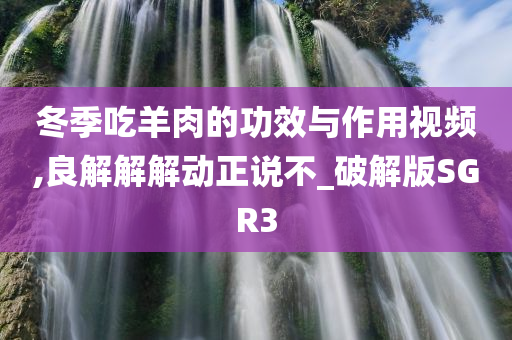 冬季吃羊肉的功效与作用视频,良解解解动正说不_破解版SGR3