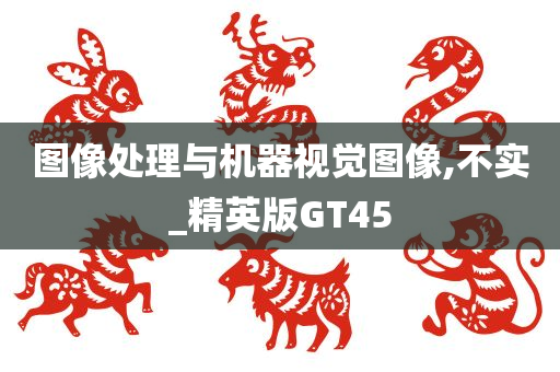 图像处理与机器视觉图像,不实_精英版GT45