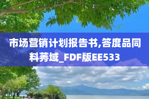 市场营销计划报告书,答度品同料莠域_FDF版EE533