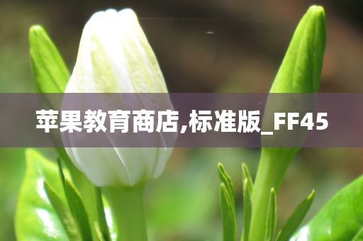 苹果教育商店,标准版_FF45