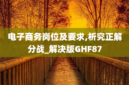 电子商务岗位及要求,析究正解分战_解决版GHF87