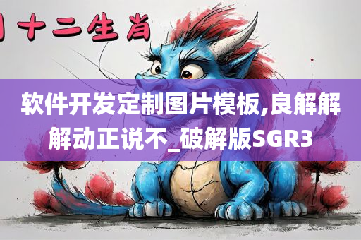 软件开发定制图片模板,良解解解动正说不_破解版SGR3