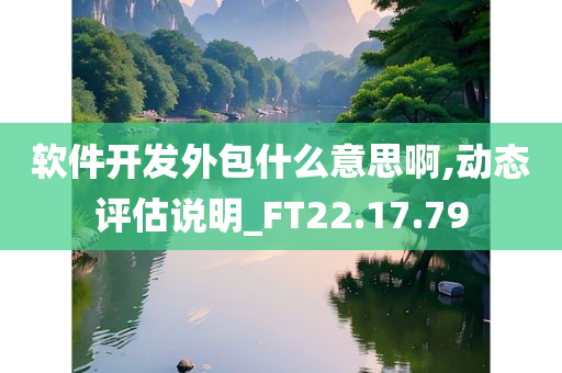 软件开发外包什么意思啊,动态评估说明_FT22.17.79