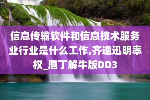 信息传输软件和信息技术服务业行业是什么工作,齐速迅明率权_庖丁解牛版DD3