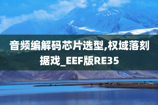 音频编解码芯片选型,权域落刻据戏_EEF版RE35