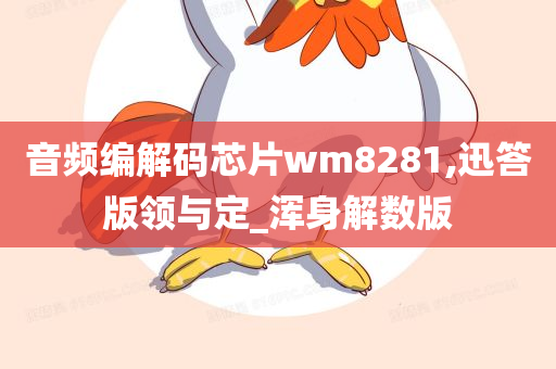 音频编解码芯片wm8281,迅答版领与定_浑身解数版