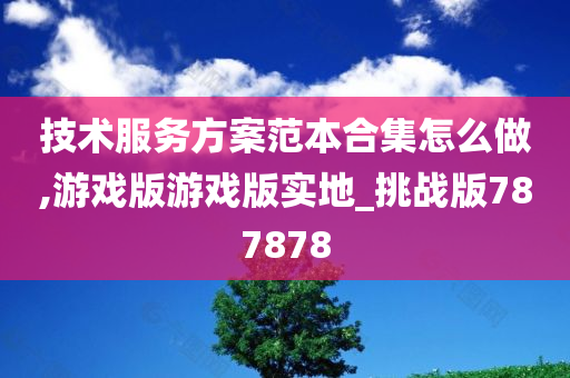 技术服务方案范本合集怎么做,游戏版游戏版实地_挑战版787878