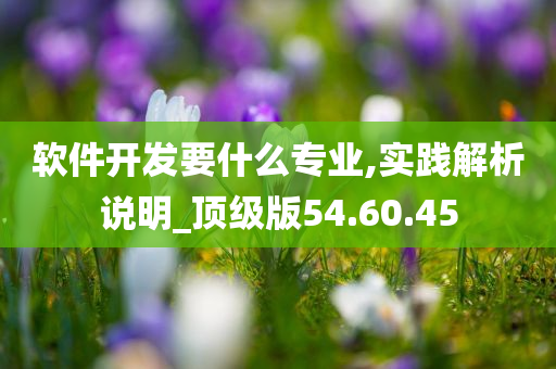 软件开发要什么专业,实践解析说明_顶级版54.60.45