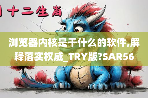 浏览器内核是干什么的软件,解释落实权威_TRY版?SAR56