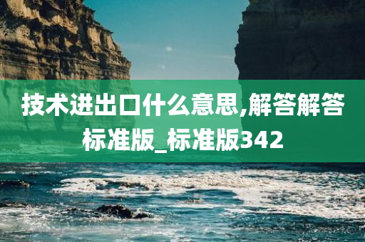 技术进出口什么意思,解答解答标准版_标准版342