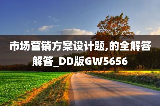 市场营销方案设计题,的全解答解答_DD版GW5656