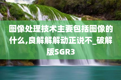 图像处理技术主要包括图像的什么,良解解解动正说不_破解版SGR3