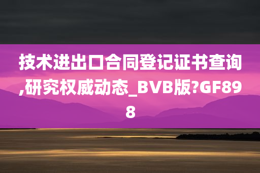 技术进出口合同登记证书查询,研究权威动态_BVB版?GF898