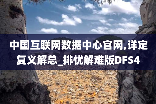 DFS4 第3页