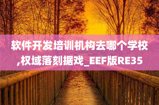 软件开发培训机构去哪个学校,权域落刻据戏_EEF版RE35