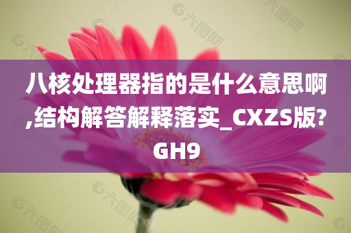 八核处理器指的是什么意思啊,结构解答解释落实_CXZS版?GH9