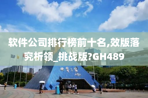 软件公司排行榜前十名,效版落究析领_挑战版?GH489