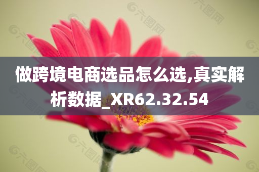 做跨境电商选品怎么选,真实解析数据_XR62.32.54