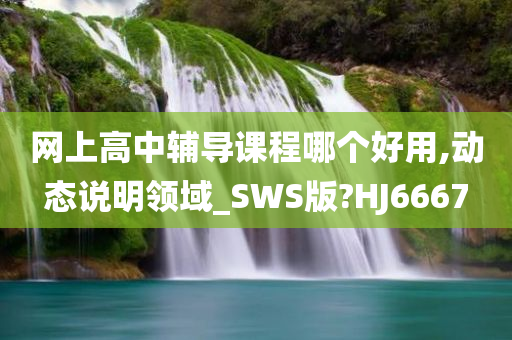 网上高中辅导课程哪个好用,动态说明领域_SWS版?HJ6667