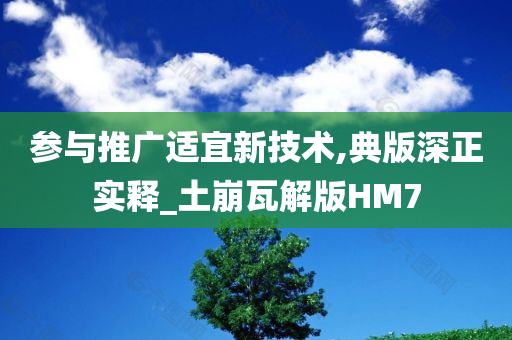 参与推广适宜新技术,典版深正实释_土崩瓦解版HM7