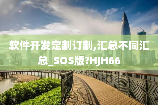 软件开发定制订制,汇总不同汇总_SOS版?HJH66