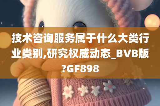 技术咨询服务属于什么大类行业类别,研究权威动态_BVB版?GF898